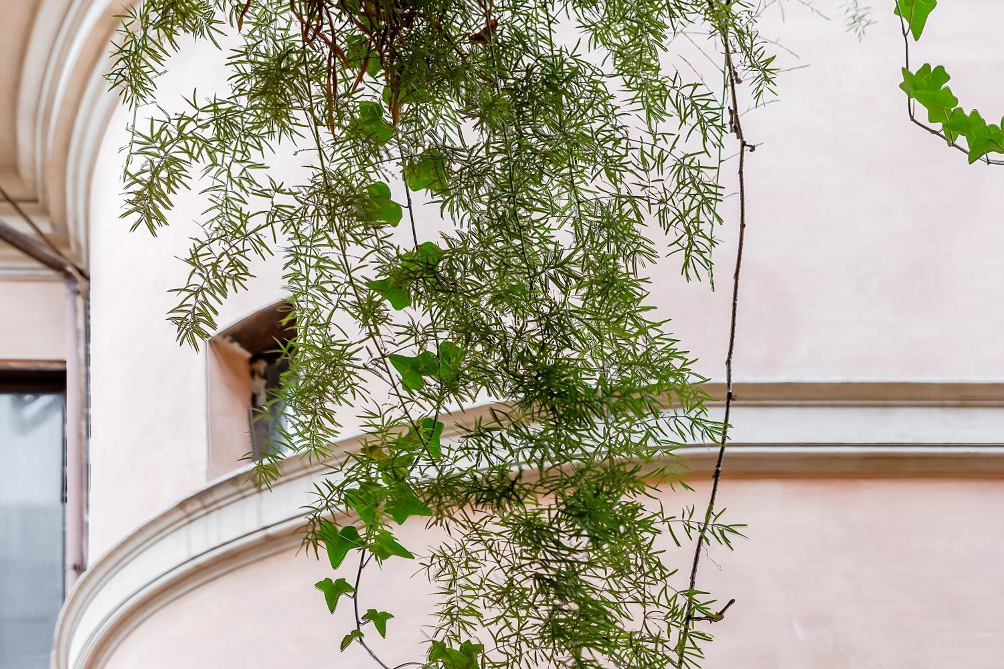רומא Trevi Fountain Stylish Guest House מראה חיצוני תמונה